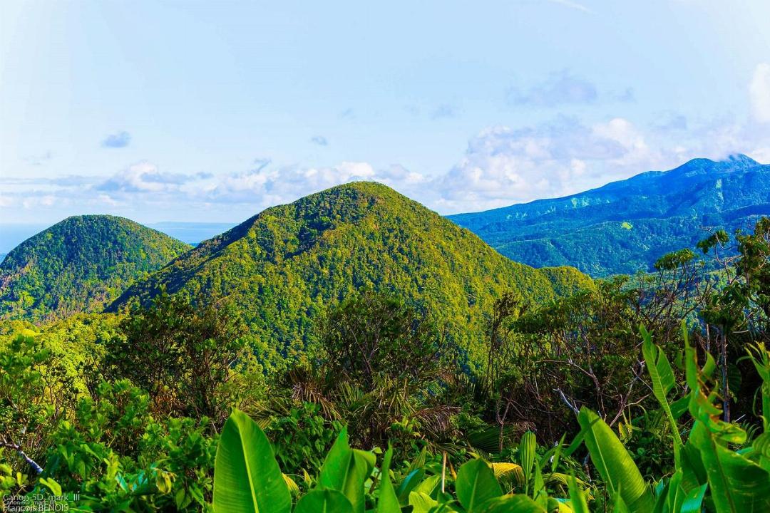 Comment réussir votre voyage en Guadeloupe