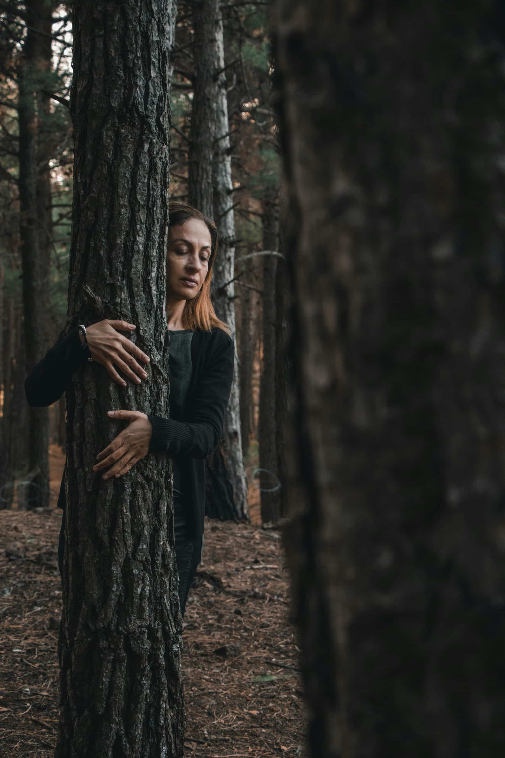 câlins aux arbres